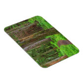 Landschaftliche des alten Waldes Magnet (Rechte Seite)