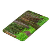 Landschaftliche des alten Waldes Magnet (Linke Seite)