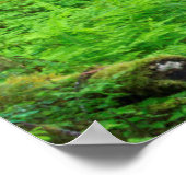 Landschaftliche des alten Waldes Poster (Ecke)