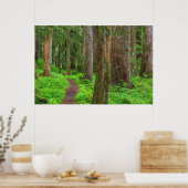 Landschaftliche des alten Waldes Poster (Küche)