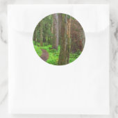 Landschaftliche des alten Waldes Runder Aufkleber (Tasche)