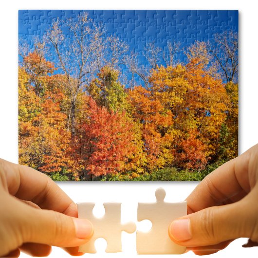 Landschaftliche Fallbäume und Blaues Himmel Foto Puzzle