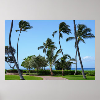 Landschaftliche hawaiianische Sicht Poster