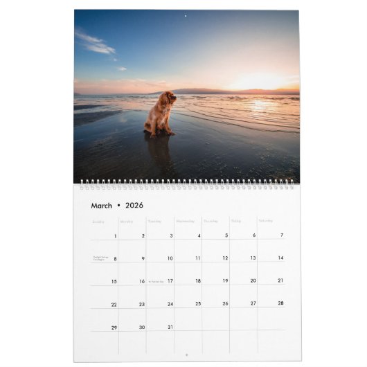 Landschaftliche Hundenatur Kalender (Mär 2026)