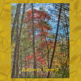 Landschaftliche Landschaft im Herbstwald fotografi Puzzle
