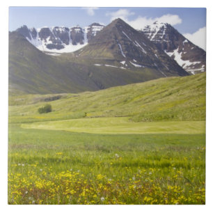 Landschaftliche Landschaft im Svarfadardalur-Tal Fliese