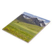 Landschaftliche Landschaft im Svarfadardalur-Tal Fliese (Seite)