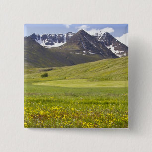 Landschaftliche Landschaft im Tal von Svarfadardal Button