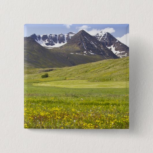 Landschaftliche Landschaft im Tal von Svarfadardal Button (Vorderseite)