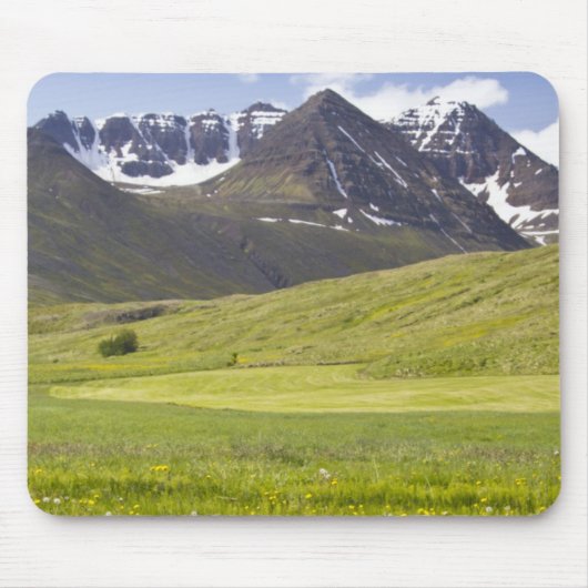 Landschaftliche Landschaft im Tal von Svarfadardal Mousepad (Vorne)