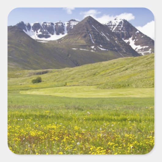 Landschaftliche Landschaft im Tal von Svarfadardal Quadratischer Aufkleber (Vorderseite)