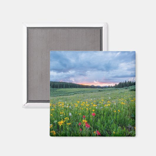 Landschaftliche Landschaft mit bunten Wildblumen Magnet (Vorderseite/Rückseite)