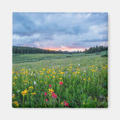 Landschaftliche Landschaft mit bunten Wildblumen Magnet (Vorne)