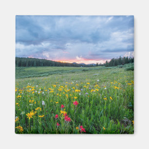 Landschaftliche Landschaft mit bunten Wildblumen Magnet