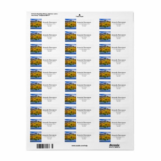 Landschaftliche Landschaftswälder und Berge (Vorne)