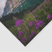 Landschaftliche Lupine Wiese Majestät Seidenpapier (Ausschnitt)