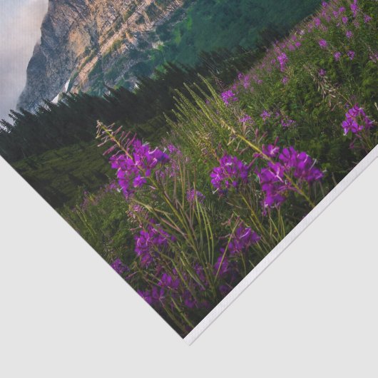 Landschaftliche Lupine Wiese Majestät Seidenpapier (Ausschnitt)