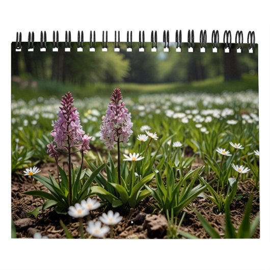 landschaftliche Mauer von 2025 Kalender (Titelbild)