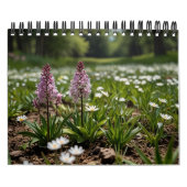 landschaftliche Mauer von 2025 Kalender (Titelbild)