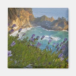 Landschaftliche McWay Falls stürzt in den Strand  Magnet