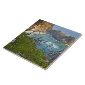 Landschaftliche McWay Falls stürzt in den Strand u Fliese (Seite)