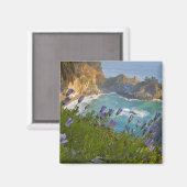 Landschaftliche McWay Falls stürzt in den Strand u Magnet (Vorderseite/Rückseite)