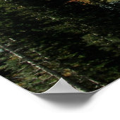 Landschaftliche Mount-Rainier-Fotolandschaft Poster (Ecke)