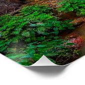 Landschaftliche Natur Fantasy Wasserfall Poster (Ecke)