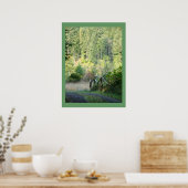 Landschaftliche Oregon Forest Trees Country Fotogr Poster (Küche)