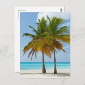 Landschaftliche Palmen an einem tropischen Strand Postkarte (Vorne/Hinten)