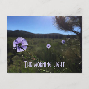 Landschaftliche Prairie Blue Flax Blume Miss You Postkarte