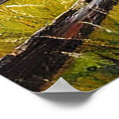Landschaftliche Rolling Hills mit Holzzaun Poster (Ecke)