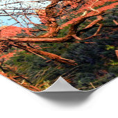 Landschaftliche Rote Felsen von Sedona Latte Tasse Poster (Ecke)