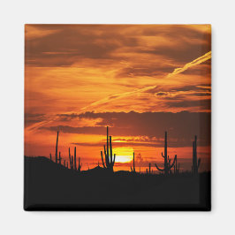 Landschaftliche Saguaros bei Sonnenuntergang Magnet