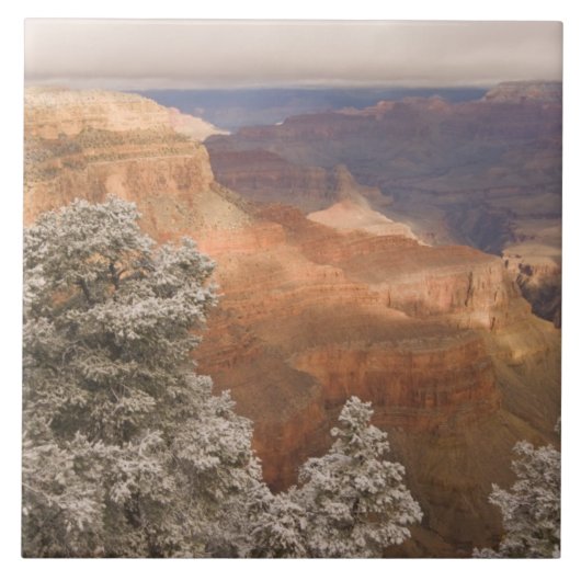 Landschaftliche schneebedeckte Winterlandschaft en Fliese (Vorderseite)