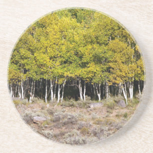 Landschaftliche Serie - Aspen Grove Untersetzer