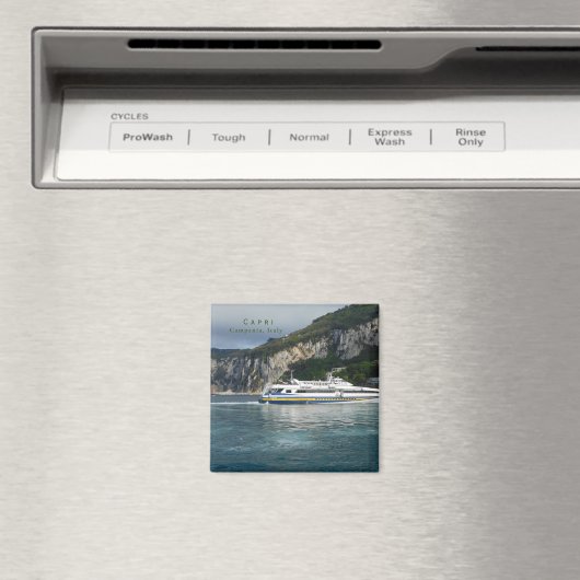 Landschaftliche Sicht auf das Fahrgastschiff in Ca Magnet (In Situ (Geschirrspüler))