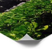 Landschaftliche Sicht auf das Hawaiianische Küsten Poster (Ecke)