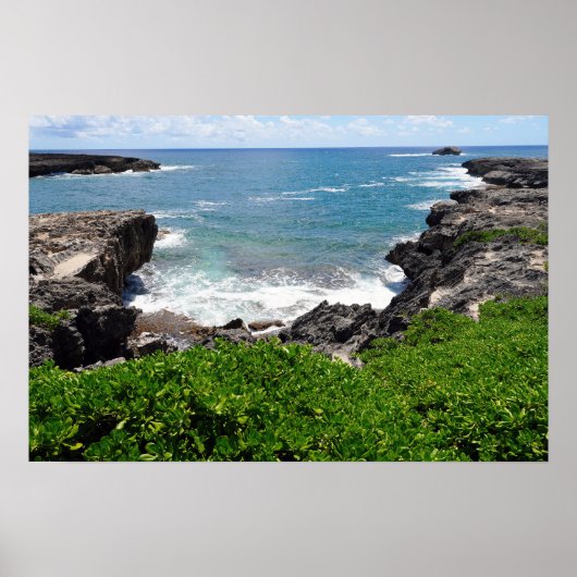 Landschaftliche Sicht auf das Hawaiianische Küsten Poster (Vorne)