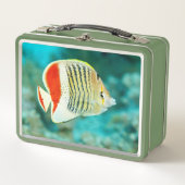 Landschaftliche Sicht auf das Unterwasser der Fisc Metall Brotdose (Vorderseite)