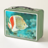 Landschaftliche Sicht auf das Unterwasser der Fisc Metall Brotdose (Rückseite)