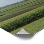 Landschaftliche Sicht auf einen Amish-Bauernhof in Poster (Ecke)