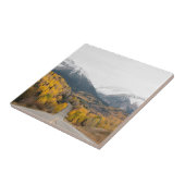 Landschaftliche Straße durch Herbstfarben und Gebi Fliese (Seite)