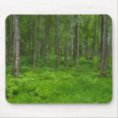 Landschaftliche Waldgrün-Mousepad Mousepad (Vorne)