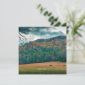 Landschaftliche Wiese North Carolina (mit einer Au Karte (Stehend Vorderseite)