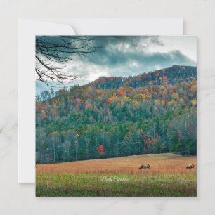 Landschaftliche Wiese North Carolina (mit einer Au Karte