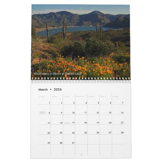 Landschaftliche Wüsten-Fotografie/Arizona ist Kalender (Mär 2026)