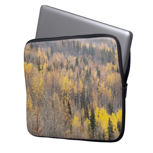Landschaftlicher Autumn - Computercase Laptopschutzhülle (Vorderseite Links)