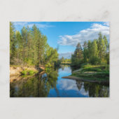 Landschaftlicher Bach durch die Baumlandschaft Postkarte (Vorderseite)