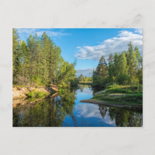 Landschaftlicher Bach durch die Baumlandschaft Postkarte (Vorderseite)